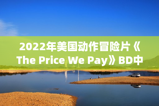 2022年美国动作冒险片《The Price We Pay》BD中英双字
