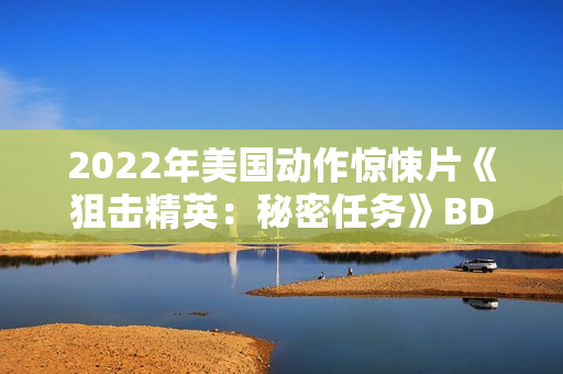 2022年美国动作惊悚片《狙击精英：秘密任务》BD中英双字
