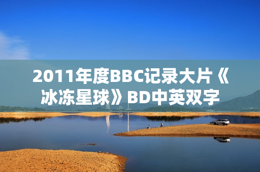 2011年度BBC记录大片《冰冻星球》BD中英双字