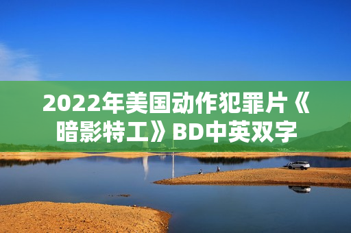 2022年美国动作犯罪片《暗影特工》BD中英双字