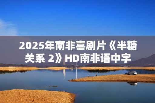 2025年南非喜剧片《半糖关系 2》HD南非语中字