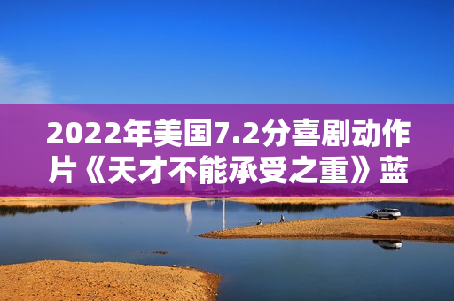 2022年美国7.2分喜剧动作片《天才不能承受之重》蓝光中英双字