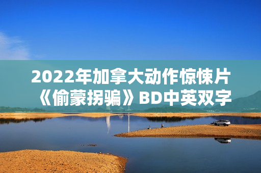 2022年加拿大动作惊悚片《偷蒙拐骗》BD中英双字