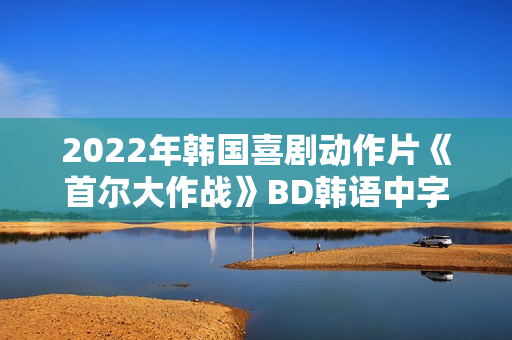2022年韩国喜剧动作片《首尔大作战》BD韩语中字