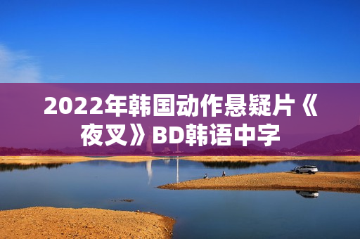 2022年韩国动作悬疑片《夜叉》BD韩语中字