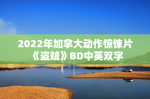 2022年加拿大动作惊悚片《盗贼》BD中英双字