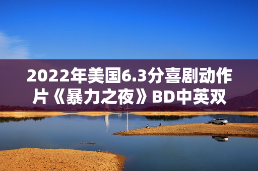 2022年美国6.3分喜剧动作片《暴力之夜》BD中英双字