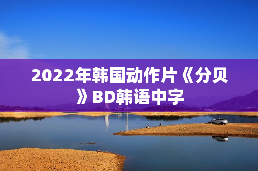 2022年韩国动作片《分贝》BD韩语中字