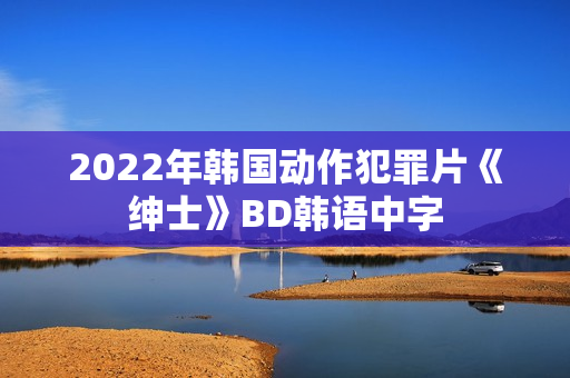 2022年韩国动作犯罪片《绅士》BD韩语中字