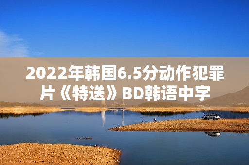 2022年韩国6.5分动作犯罪片《特送》BD韩语中字