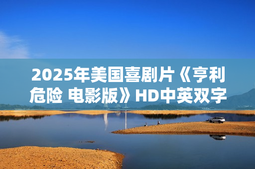 2025年美国喜剧片《亨利危险 电影版》HD中英双字