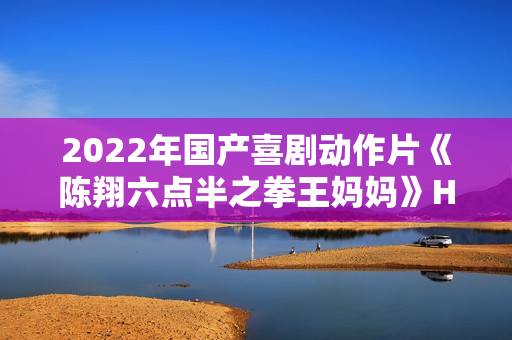 2022年国产喜剧动作片《陈翔六点半之拳王妈妈》HD国语中字