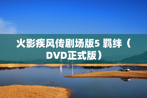 火影疾风传剧场版5 羁绊（DVD正式版）