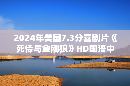 2024年美国7.3分喜剧片《死侍与金刚狼》HD国语中英双字公映版