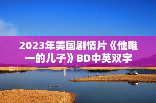 2023年美国剧情片《他唯一的儿子》BD中英双字