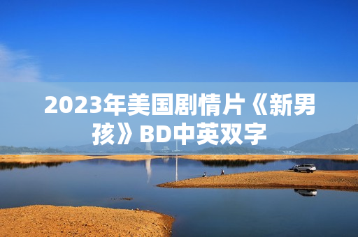 2023年美国剧情片《新男孩》BD中英双字