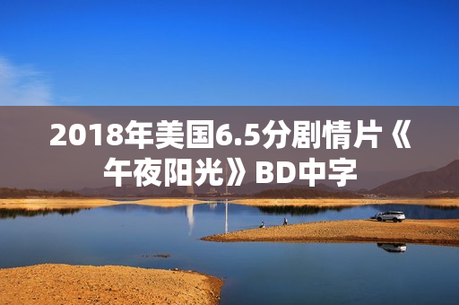 2018年美国6.5分剧情片《午夜阳光》BD中字