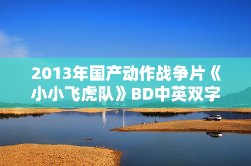 2013年国产动作战争片《小小飞虎队》BD中英双字 2013年国产动作战争片《小小飞虎队》BD中英双字