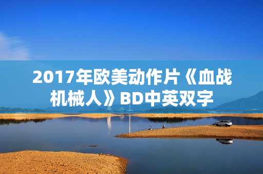 2017年欧美动作片《血战机械人》BD中英双字 2017年欧美动作片《血战机械人》BD中英双字