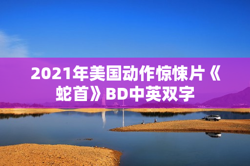 2021年美国动作惊悚片《蛇首》BD中英双字 2021年美国动作惊悚片《蛇首》BD中英双字