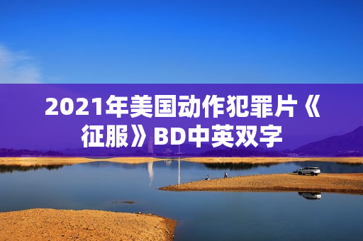 2021年美国动作犯罪片《征服》BD中英双字