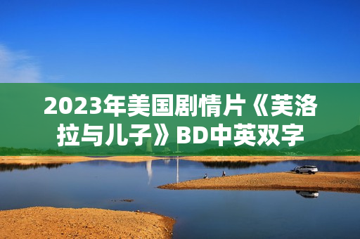 2023年美国剧情片《芙洛拉与儿子》BD中英双字