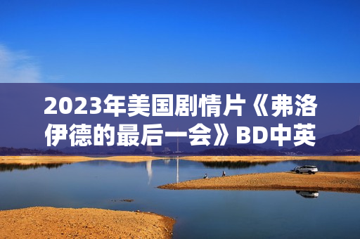2023年美国剧情片《弗洛伊德的最后一会》BD中英双字