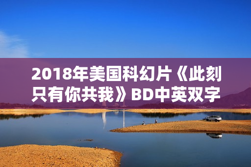 2018年美国科幻片《此刻只有你共我》BD中英双字