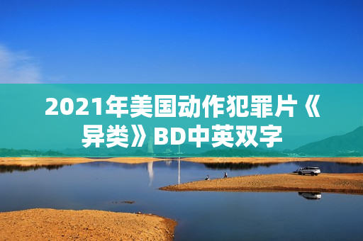 2021年美国动作犯罪片《异类》BD中英双字
