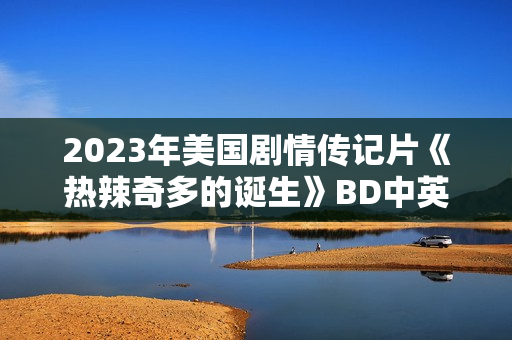 2023年美国剧情传记片《热辣奇多的诞生》BD中英双字