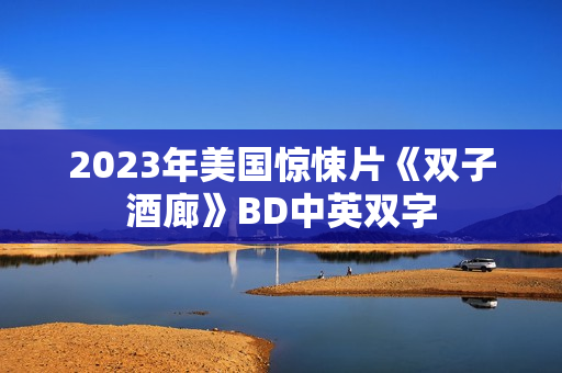 2023年美国惊悚片《双子酒廊》BD中英双字