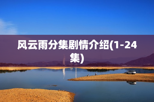 风云雨分集剧情介绍(1-24集)