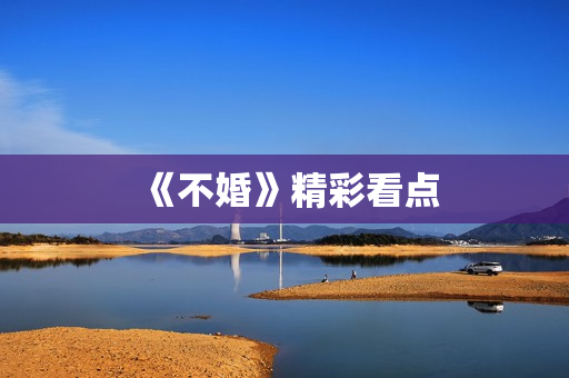 《不婚》精彩看点