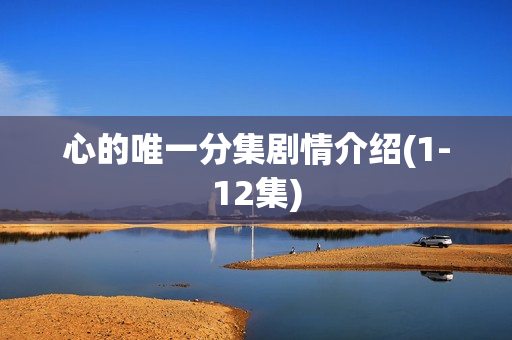 心的唯一分集剧情介绍(1-12集)