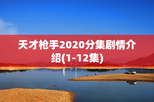 天才枪手2020分集剧情介绍(1-12集) 天才枪手2020分集剧情介绍(1-12集)