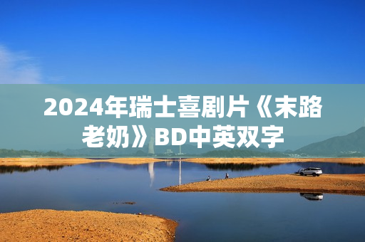 2024年瑞士喜剧片《末路老奶》BD中英双字