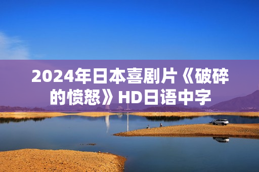 2024年日本喜剧片《破碎的愤怒》HD日语中字