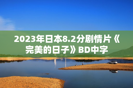 2023年日本8.2分剧情片《完美的日子》BD中字