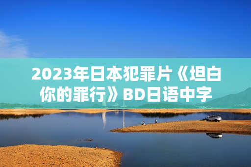 2023年日本犯罪片《坦白你的罪行》BD日语中字