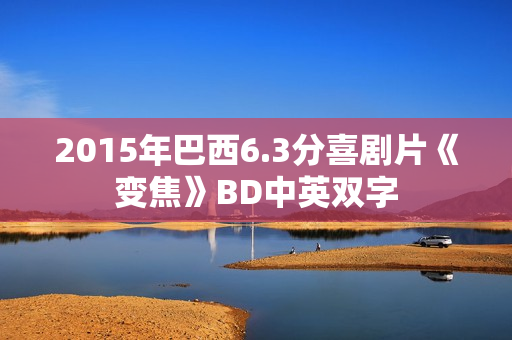 2015年巴西6.3分喜剧片《变焦》BD中英双字