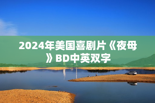 2024年美国喜剧片《夜母》BD中英双字