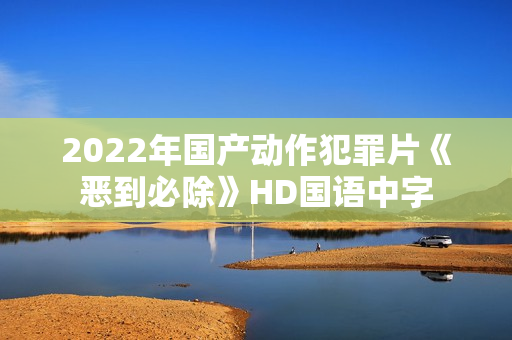2022年国产动作犯罪片《恶到必除》HD国语中字