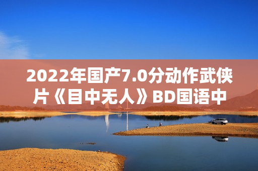 2022年国产7.0分动作武侠片《目中无人》BD国语中英双字