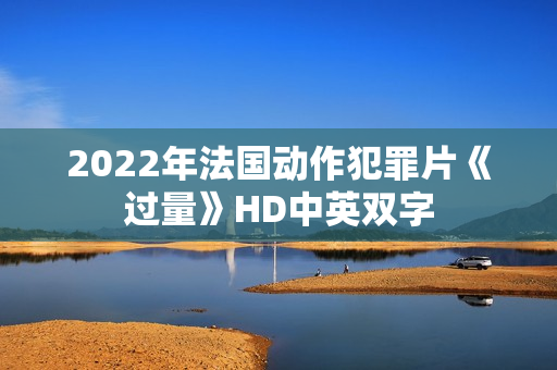 2022年法国动作犯罪片《过量》HD中英双字