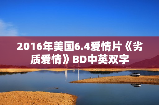 2016年美国6.4爱情片《劣质爱情》BD中英双字