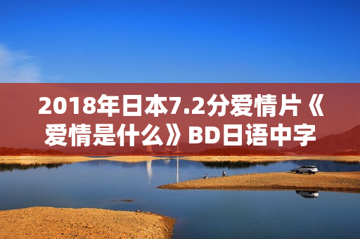 2018年日本7.2分爱情片《爱情是什么》BD日语中字