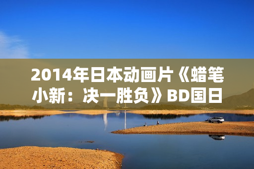 2014年日本动画片《蜡笔小新：决一胜负》BD国日双语中字