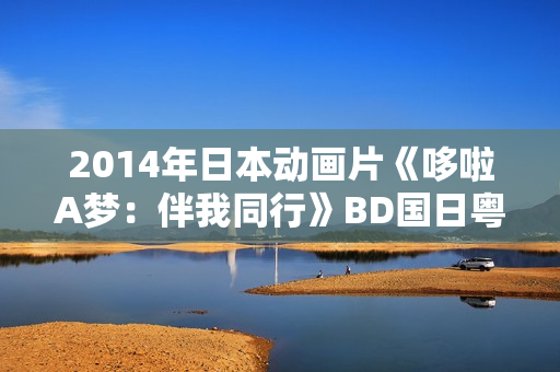 2014年日本动画片《哆啦A梦：伴我同行》BD国日粤3语中字