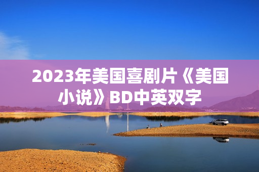 2023年美国喜剧片《美国小说》BD中英双字