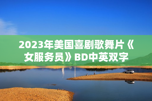 2023年美国喜剧歌舞片《女服务员》BD中英双字